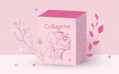 Collagène et cholestérol